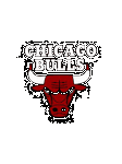 pic for chicago bulls